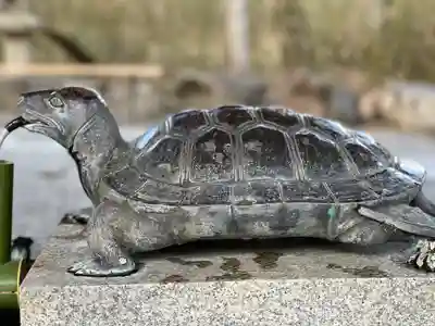 松尾大社の手水舎