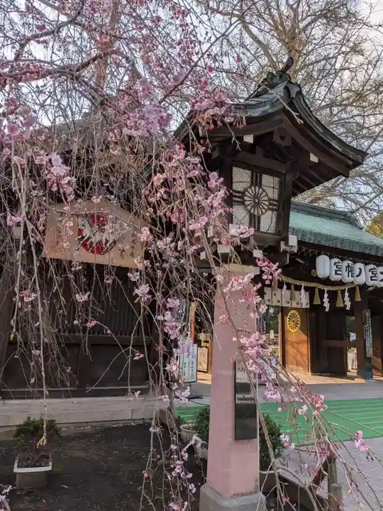 大宮八幡宮(東京都)