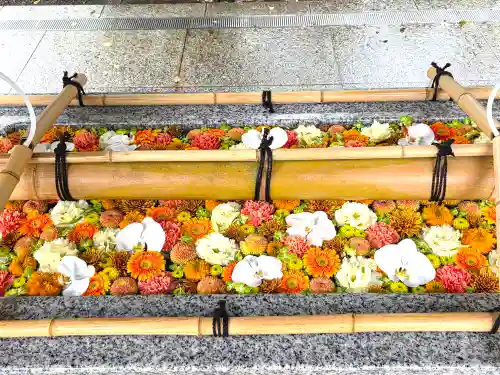 富岡八幡宮の手水舎