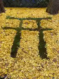 上川神社の庭園(2021年11月12日(金) 11時55分06秒投稿)