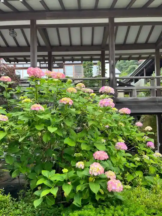 楽法寺(雨引観音)(茨城県)