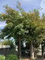 宗真寺(神奈川県)