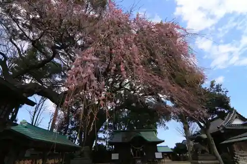 三島八幡神社の景色