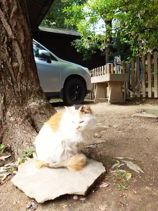 阿邪訶根神社(福島県)