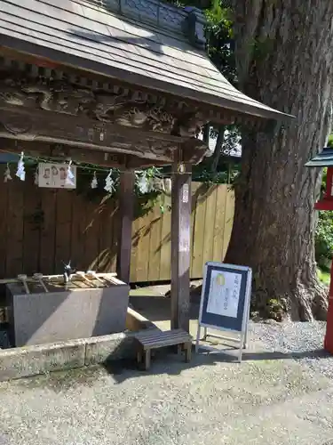 鷲宮神社(埼玉県)