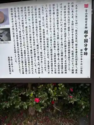 国分寺(富山県)