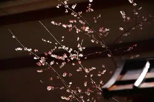 葛西神社(東京都)