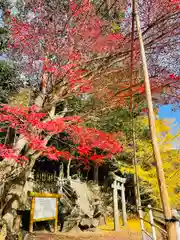 法泉寺の鳥居