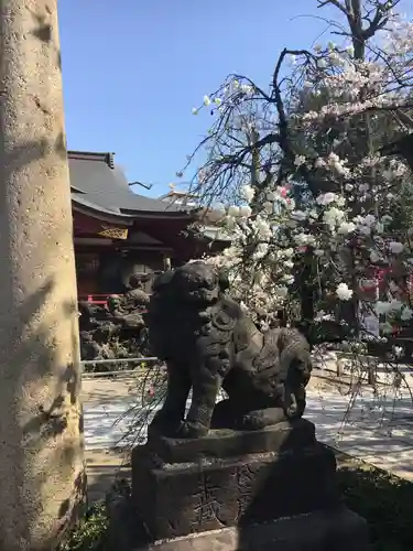 素盞雄神社の狛犬
