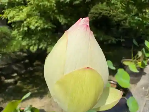 伊勢の国 四天王寺(三重県)