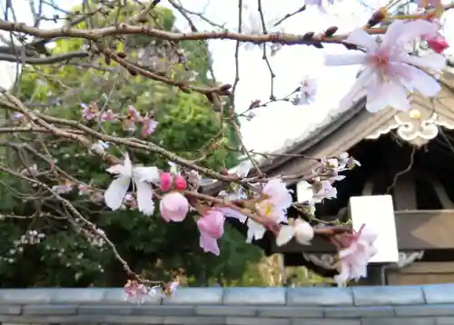 太閤山常泉寺の自然