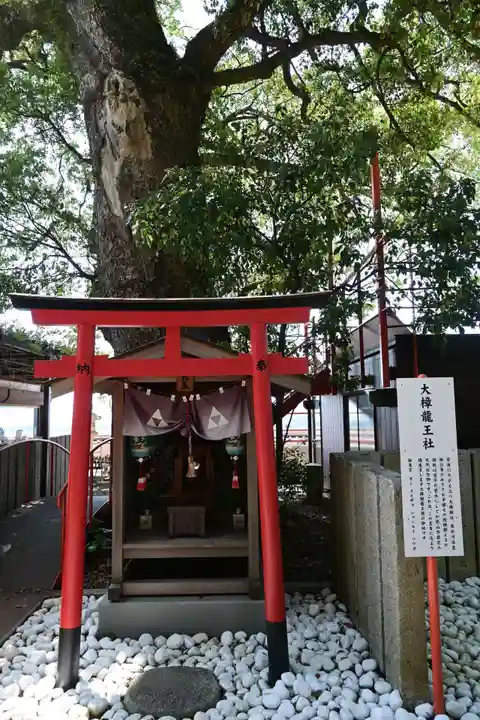 金剛宝寺(紀三井寺)(和歌山県)