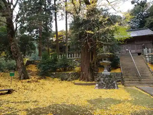 雷神社のその他建物