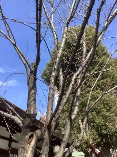 三輪神社の自然