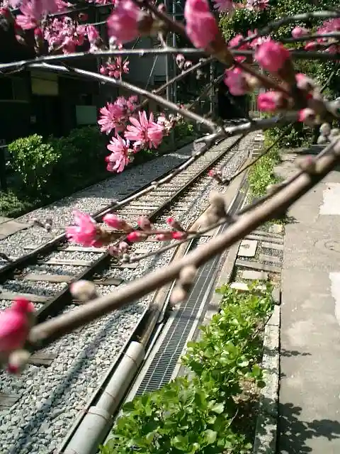 御霊神社の周辺