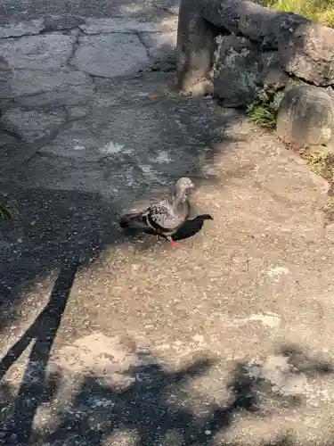 江島杉山神社(東京都)