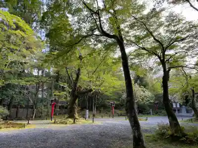 常照寺(京都府)