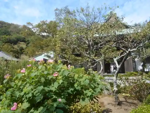 海蔵寺の庭園