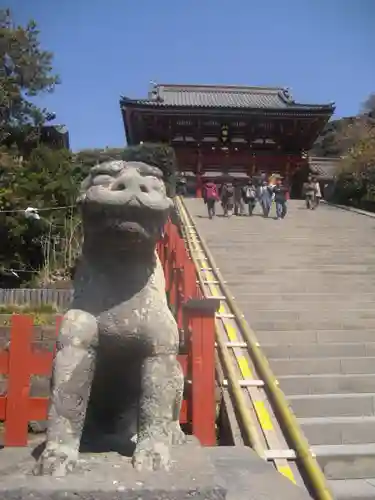 鶴岡八幡宮の狛犬