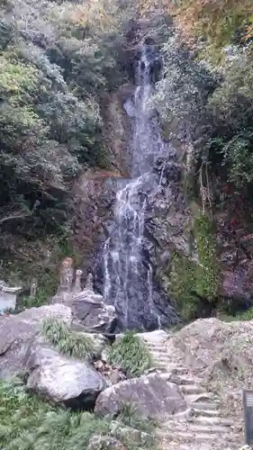 見瀧寺宝地院の自然