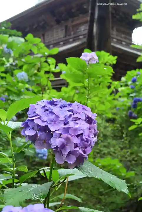 円覚寺(神奈川県)