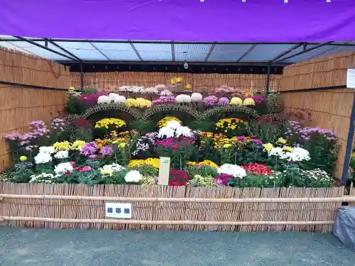 宗像大社(福岡県)