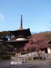 楽法寺（雨引観音）の塔