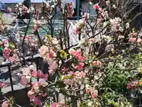 大蔵院(群馬県)