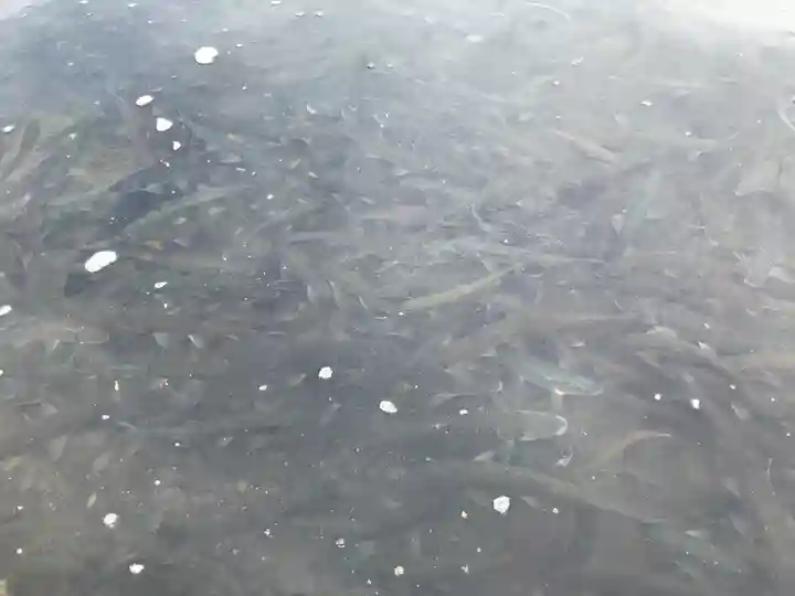 浮木神社(秋田県)