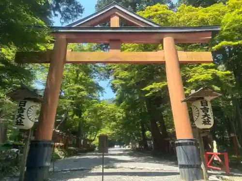 日吉大社の{uncategorized: "未分類", other: "その他", undefined: "問題あり", building: "その他建物", grave: "お墓", sacred_gate: "鳥居", guardian: "狛犬", statue: "像", buddha: "仏像", history: "歴史", nature: "自然", garden: "庭園", animal: "動物", pagoda: "塔", temizu: "手水舎", mountain_gate: "山門・神門", sanctuary: "本殿・本堂", subordinate: "末社・摂社", art: "芸術", scenery: "景色", jizo: "地蔵", ema: "絵馬", goshuin: "御朱印", omikuji: "おみくじ", items: "授与品その他", amulet: "お守り", goshuincho: "御朱印帳", eats: "食事", festival: "お祭り", votive_dance: "神楽", shichigosan: "七五三参", wedding: "結婚式", experience: "体験その他", initially: "初詣", around: "周辺", anti_infection: "感染症対策"}