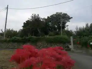 福泉寺の自然(2020年10月04日(日) 19時54分49秒投稿)