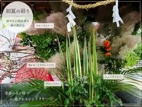 三津厳島神社(愛媛県)