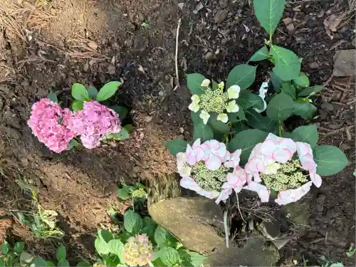 市杵島神社（高萩八幡宮境内社）(茨城県)