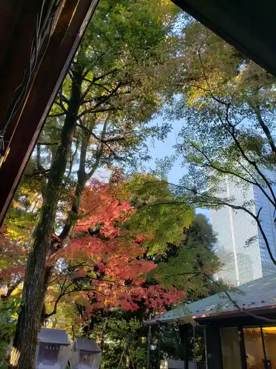 愛宕神社の自然