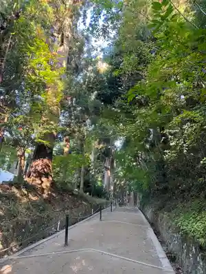 中尊寺(岩手県)