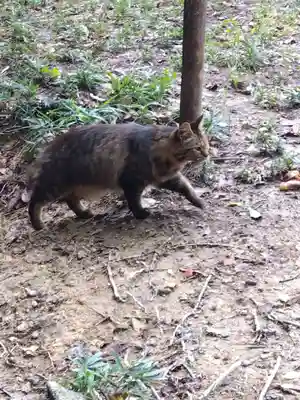 村雲御所瑞龍寺門跡(滋賀県)