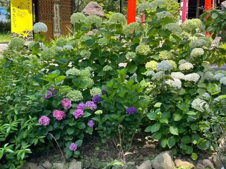 山家神社(長野県)