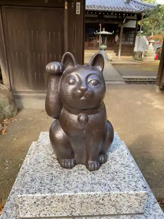 豪徳寺の狛犬