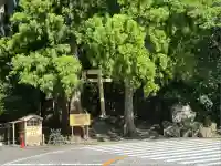 飛瀧神社(熊野那智大社別宮)(和歌山県)