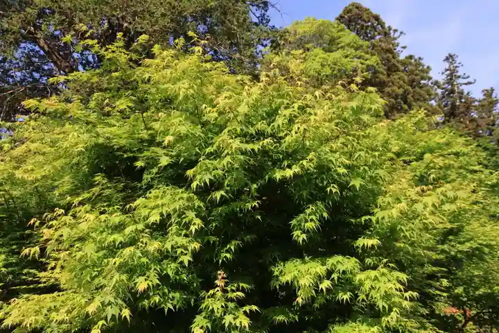 豊景神社の庭園
