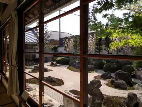 妙蓮寺(京都府)