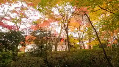 常照寺(京都府)