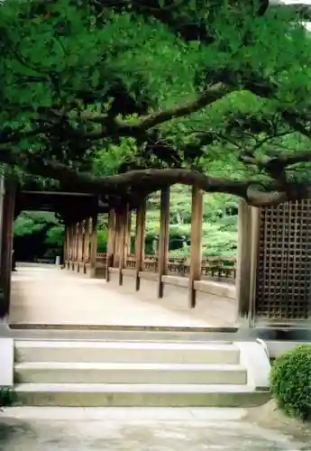 平安神宮の建物その他