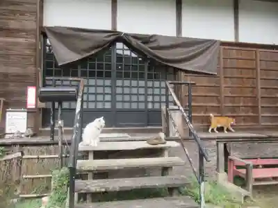 光珠院(埼玉県)