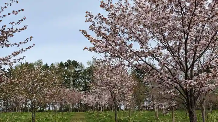 金刀比羅神宮の周辺