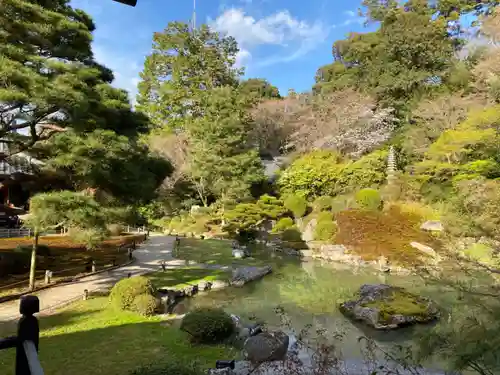 青蓮院の庭園