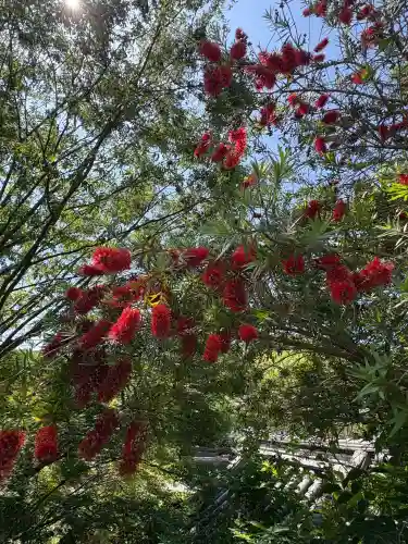 玉泉寺(香川県)