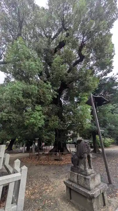 旭神社(大阪府)