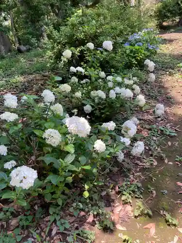 大庭神社の自然