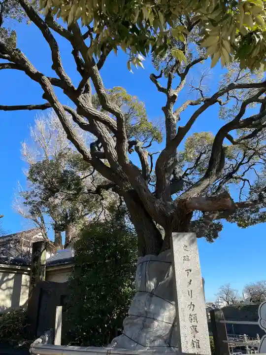本覺寺(神奈川県)